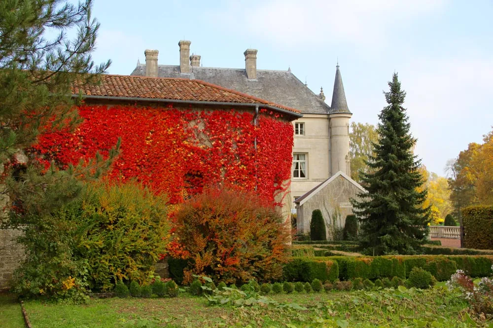 Les dépendances sous la vigne vierge d'automne
