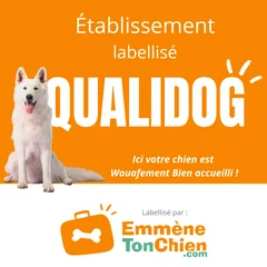 Label Qualidog : ici votre chien est bien accueilli
