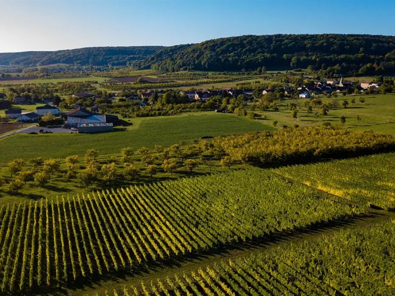 Domaine de Muzy